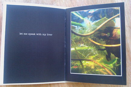 'let me speak with my liver' and an image of underwater plants